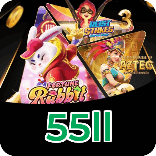 Registro 55ll